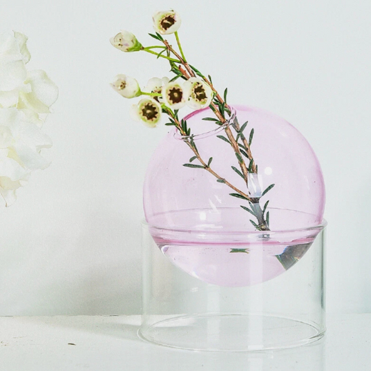 Hydroponic Glass Vase
