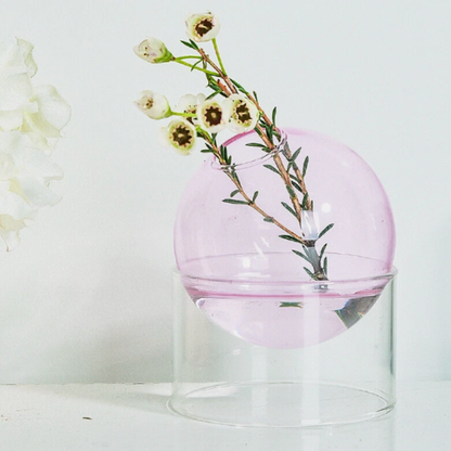Hydroponic Glass Vase