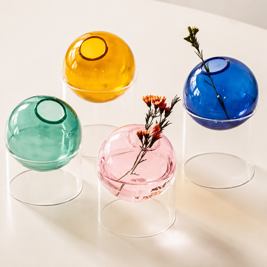 Hydroponic Glass Vase